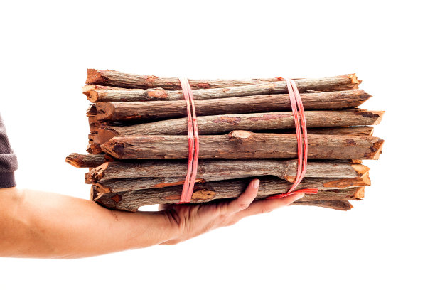 白柴白底图片下载