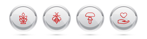 手持线植物蜂菇和心脏图片下载