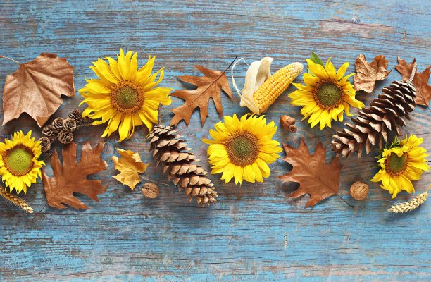 秋天的节日餐桌装饰上方的质朴木桌。图片下载