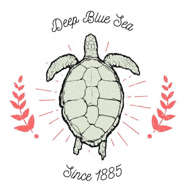 海龟古标t恤印花图片下载