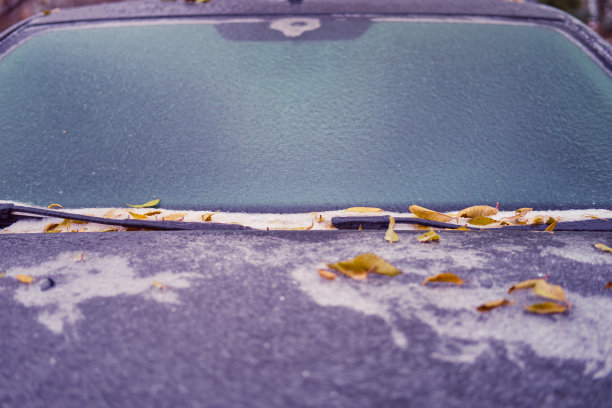 秋天的第一场霜冻后，一辆汽车的挡风玻璃和引擎盖被树叶冻住了图片下载