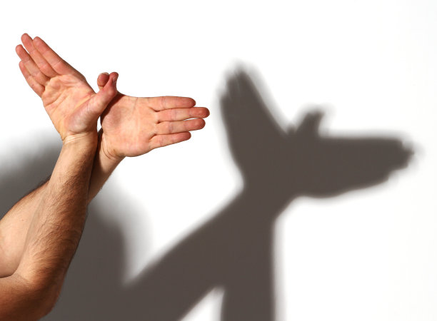 手势就像白底上的鸽子。图片下载