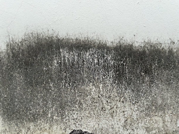 白色墙壁上有黑色霉斑。图片下载