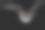 这是道本顿一家晚上捕猎蝙蝠的特写照片图片下载