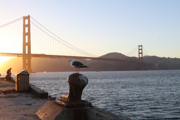 金门大桥上令人惊叹的景色。在海湾地区，海鸥在前面的日落美景。美国旧金山壮观的日落。图片下载