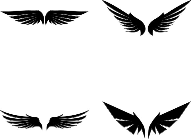 翅膀黑色图标设置现代简约设计图片下载