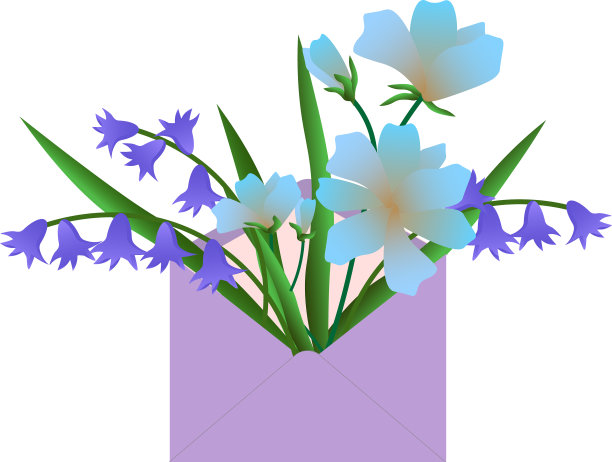 信封里有一束蓝色的花图片下载