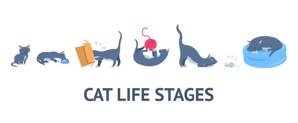 卡通人物颜色设定猫的成长阶段图片下载