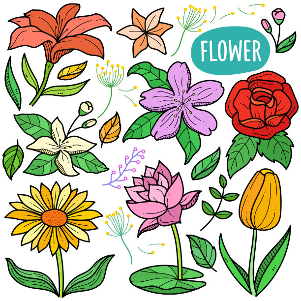 花卉彩色涂鸦插图图片下载