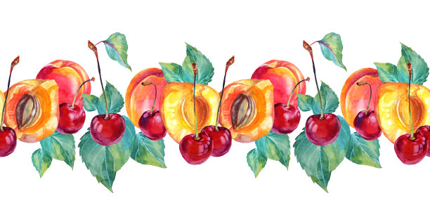 无缝边界水彩杏子和樱桃与绿色的叶子。红色，黄色，橙色手绘水果，浆果孤立在白色背景上。夏季甜点。菜单剪贴画图片下载