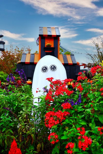 有趣的万圣节南瓜和十月可爱的鬼魂图片下载