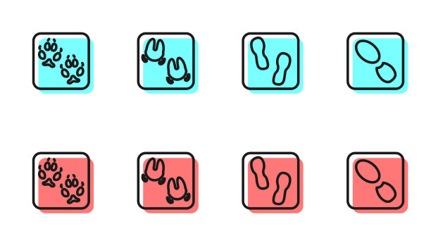 设线人脚印鞋狐爪野图片下载