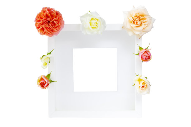 玫瑰模板架图片下载