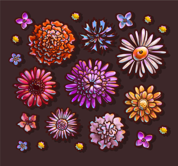 花蕾顶景五彩缤纷图片下载