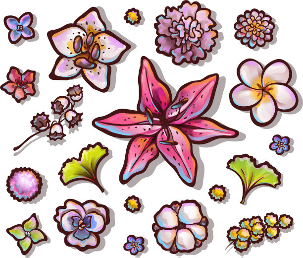 花蕾顶景五彩缤纷图片下载