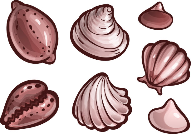 贝壳集海洋动物贝壳卡通艺术图片下载