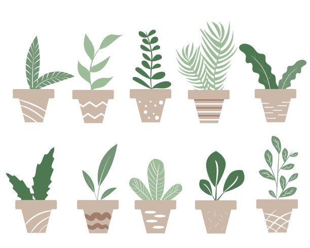 将温室植物放在米色的花盆中图片下载