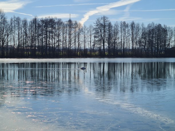天鹅湖图片下载