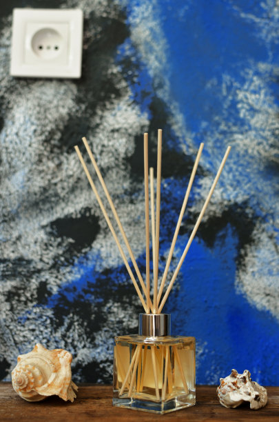 香气扩散与贝壳背景与玫瑰sette抽象墙图片下载