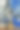 香气扩散与贝壳背景与玫瑰sette抽象墙图片下载