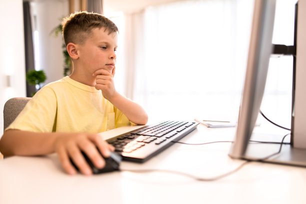 聪明的孩子在家里用电脑学习。图片下载