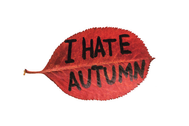 叶子题字-我恨秋天。白色背景上孤立的红叶象征着对秋天的厌恶。图片下载