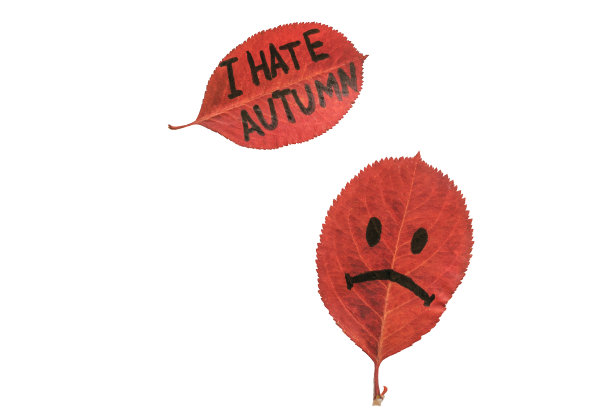 树叶上画着悲伤的脸和题字——我恨秋天。情感的概念表达。红色的叶子孤立在白色背景上，象征着对秋天的厌恶。图片下载