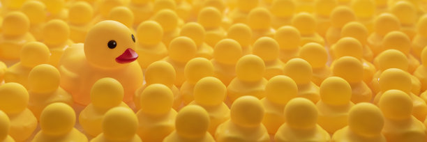一大群黄色的橡皮鸭背对着镜头，一只更大的不同的鸭子从人群中脱颖而出，面对着镜头的相反方向。图片下载