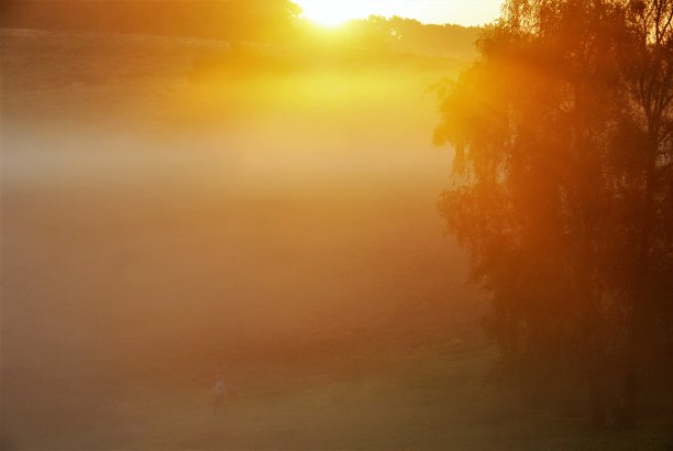 早上金色的轮廓图片下载