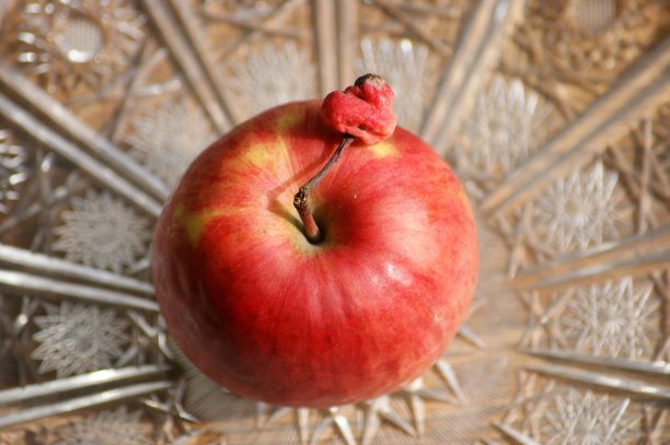 大苹果和小苹果图片下载
