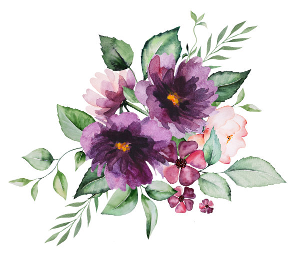 水彩紫色花朵和绿色叶子花束插图图片下载