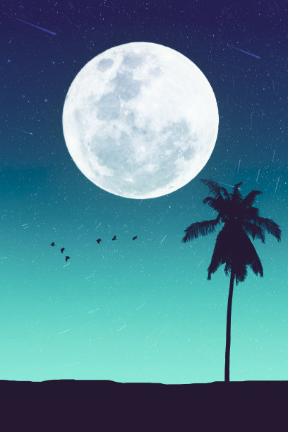 热带的夜晚。满月和星落与棕榈叶鸟飞抽象的背景。图片下载