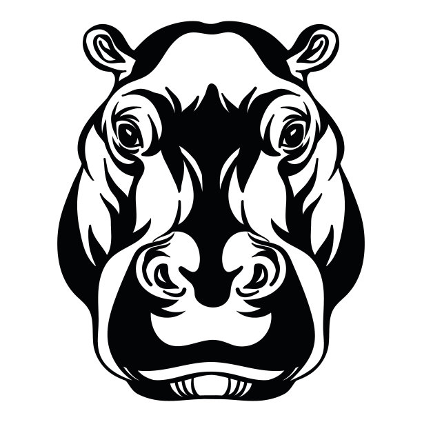 头吉祥物河马头孤立在白色图片下载