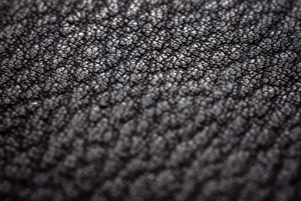 一个皮革的极端特写图片下载