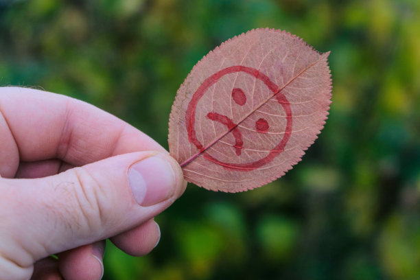 树叶，画着悲伤的脸图片下载