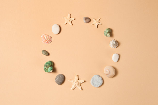 贝壳，海星和石头在圆形的棕色背景与文字的空间。图片下载