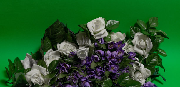 花构图，不同的花在不同的背景上。情人节，母亲节，妇女节，春天的概念。图片下载