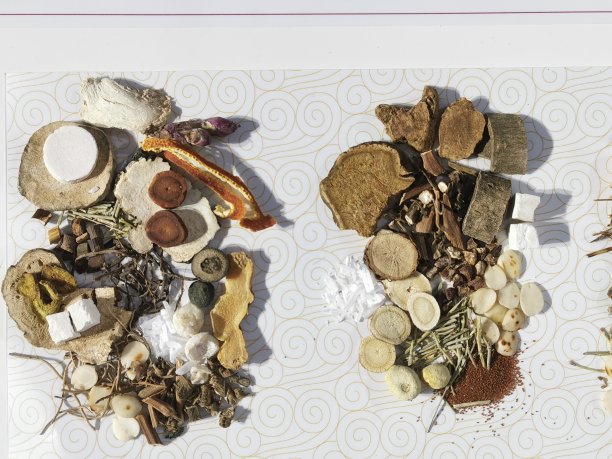 中草药图片下载