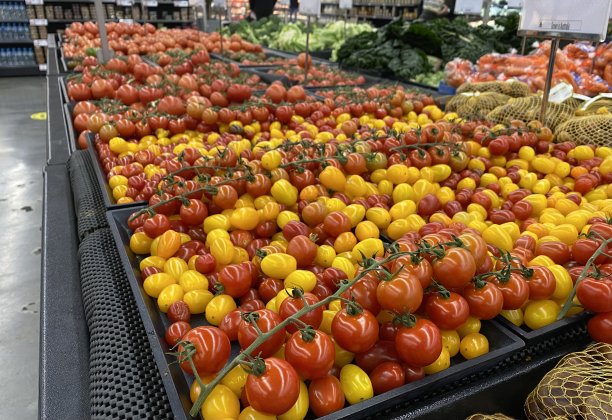 新鲜多汁的迷你西红柿展示图片下载