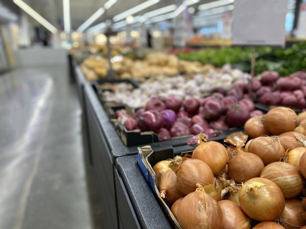 新鲜农产品展示-洋葱图片下载