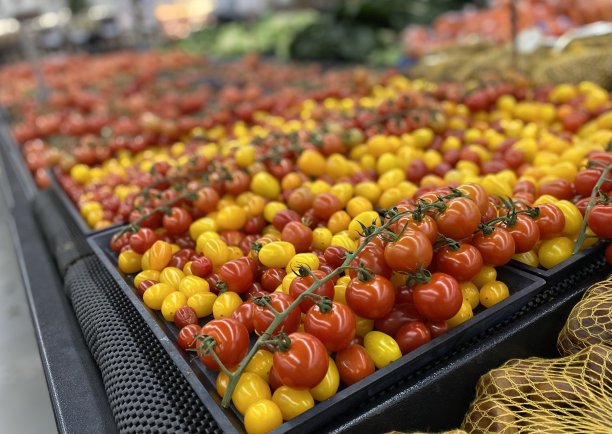 新鲜多汁的迷你西红柿展示图片下载