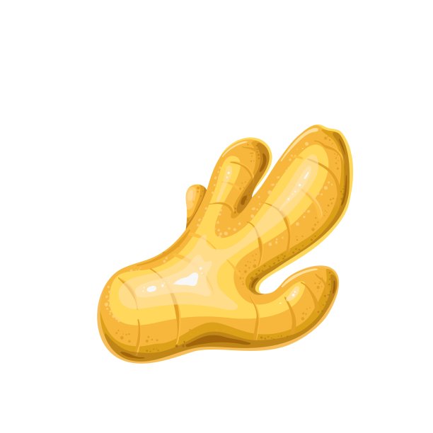 姜矢量插图。图片下载