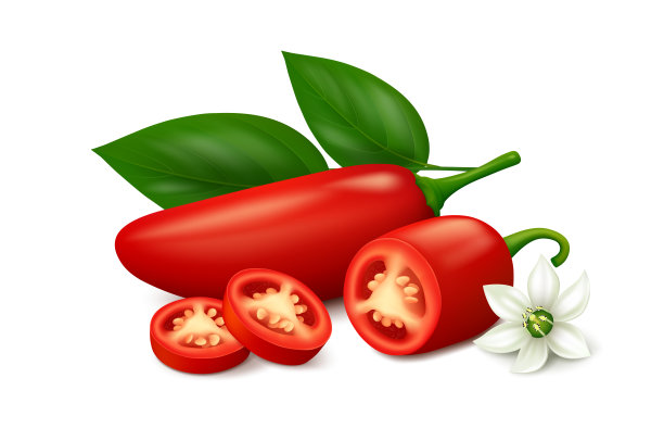 红色的jalapeño辣椒与辣椒片，花和叶孤立在白色的背景上图片下载