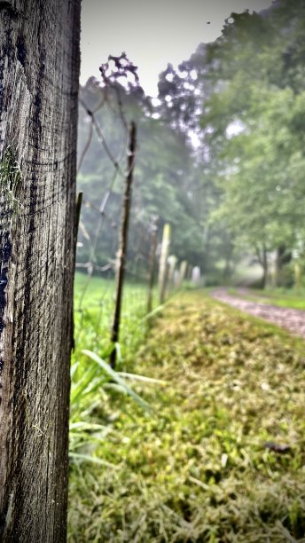 有栅栏的乡间车道/递减的视角图片下载