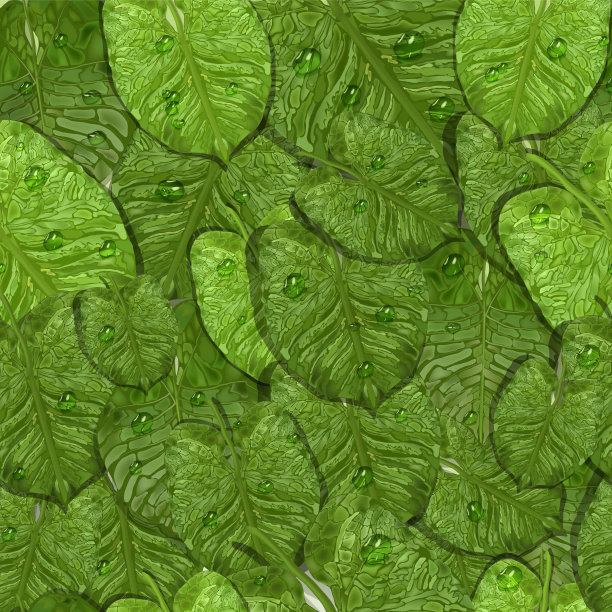 无缝，热带壁纸与绿色，现实的叶子，水滴，露珠。以写实风格的现代图案。异国情调的背景绿叶，俯视图。适用于印刷、纺织、纸张、商业创意。艺术插图。图片下载
