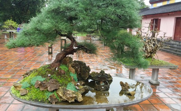 寺庙的后院图片下载