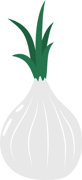 孤立的白色洋葱图标在白色的背景图片下载