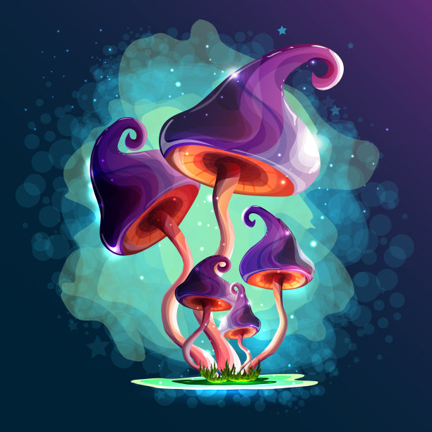 蘑菇神奇的蘑菇在童话般的迷雾中图片下载