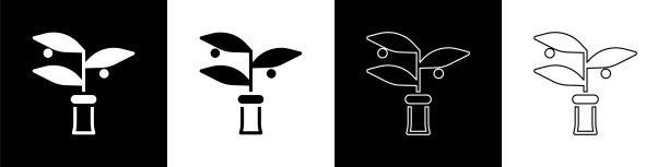 设置植物育种图标孤立的黑白背景。在试管中生长的植物。有机食品、农业和水培。向量图片下载