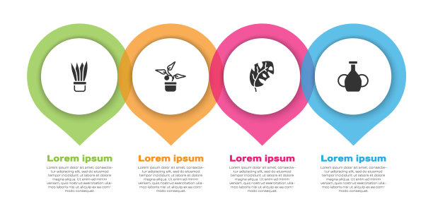 设置植物在花盆，热带叶子和花瓶。业务信息模板。向量图片下载